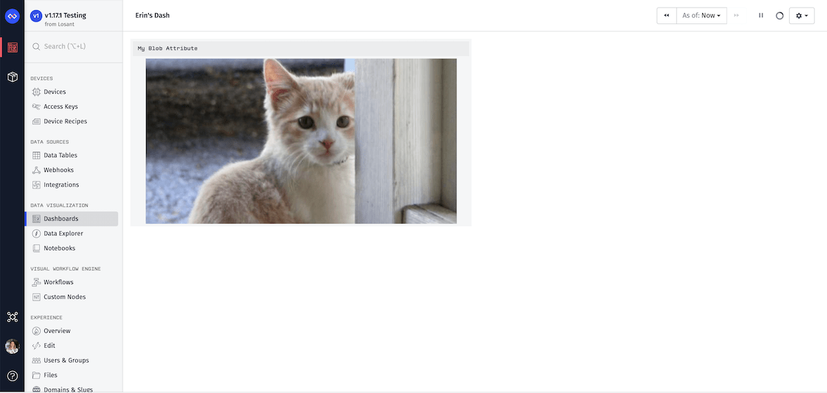 Blob On Image Dashboard