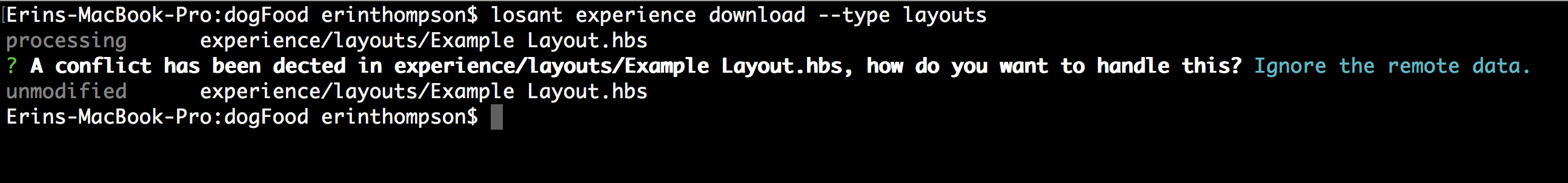 Download Resolved Conflicts